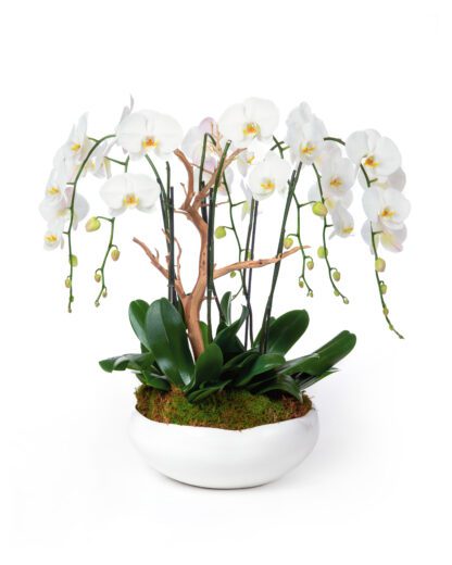 Radiant Orchid arrangement