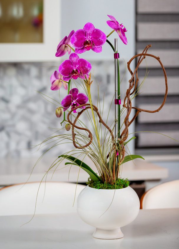 Stylish Orchids Flower Bouquet