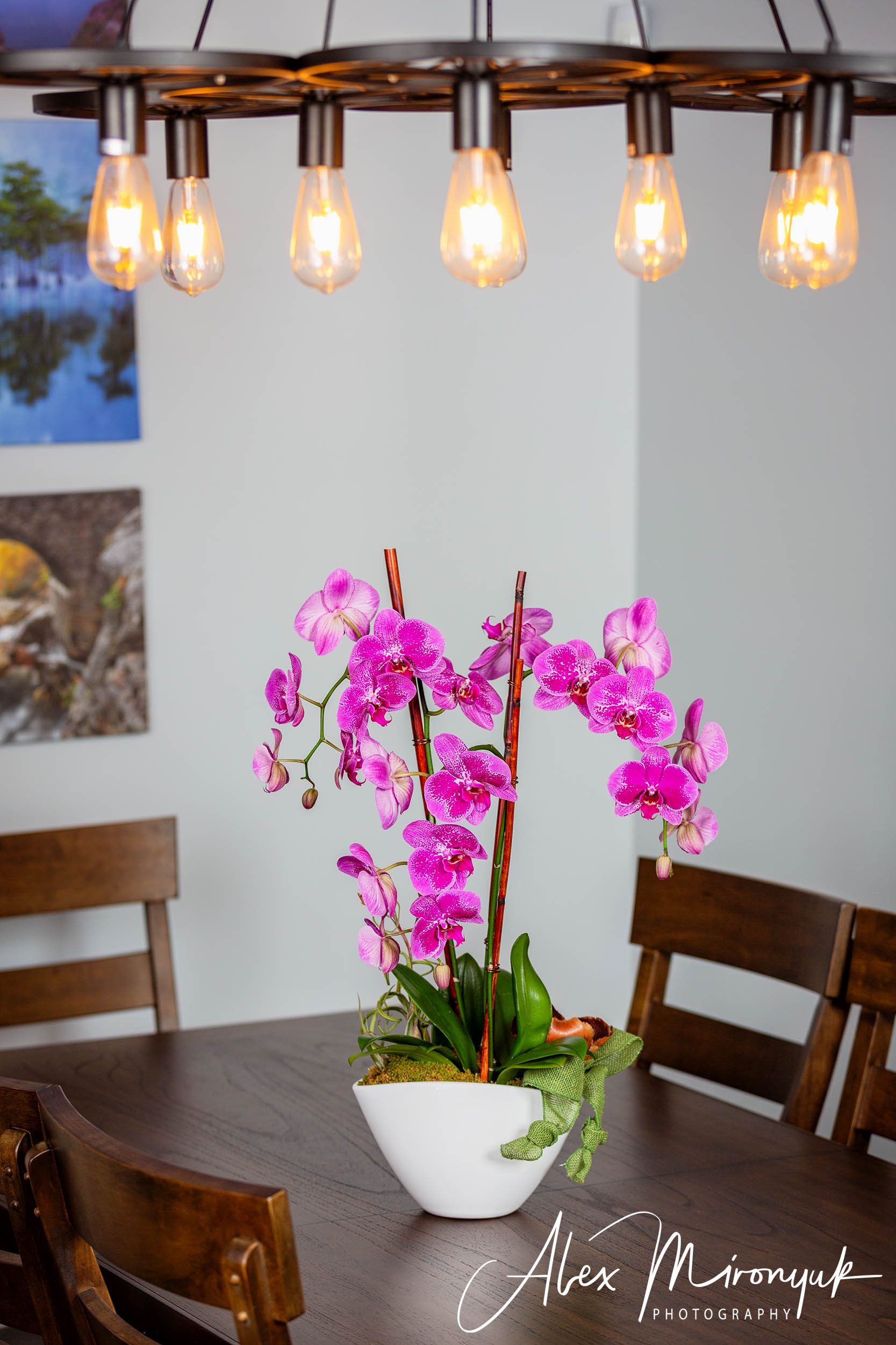 Amethyst Orchid