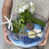 1Seashor Mini Orchids Terrarium