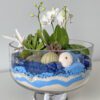 Seashore - Image 4
