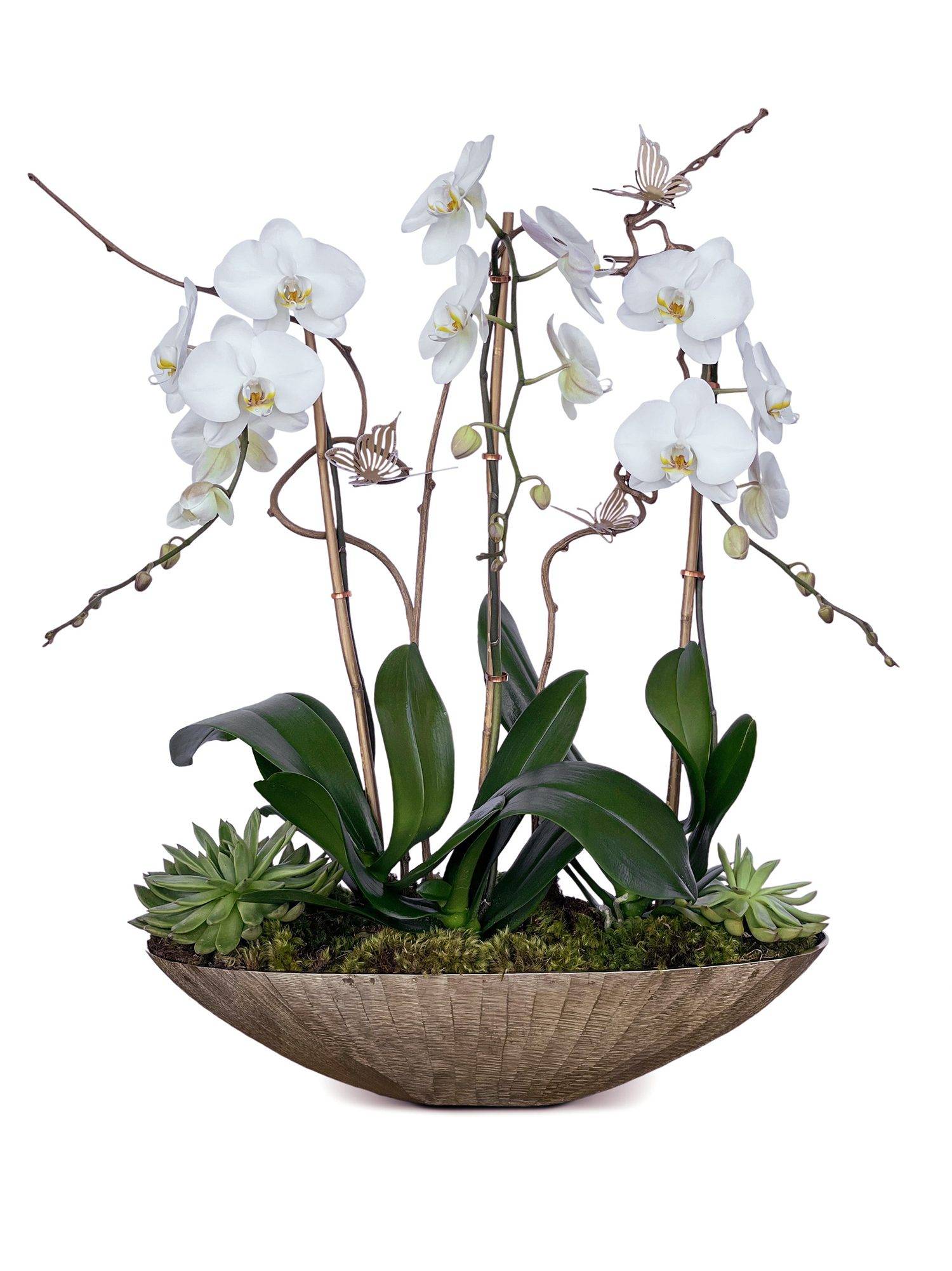 Flower compositions Order Orchids compositions | Same day delivery