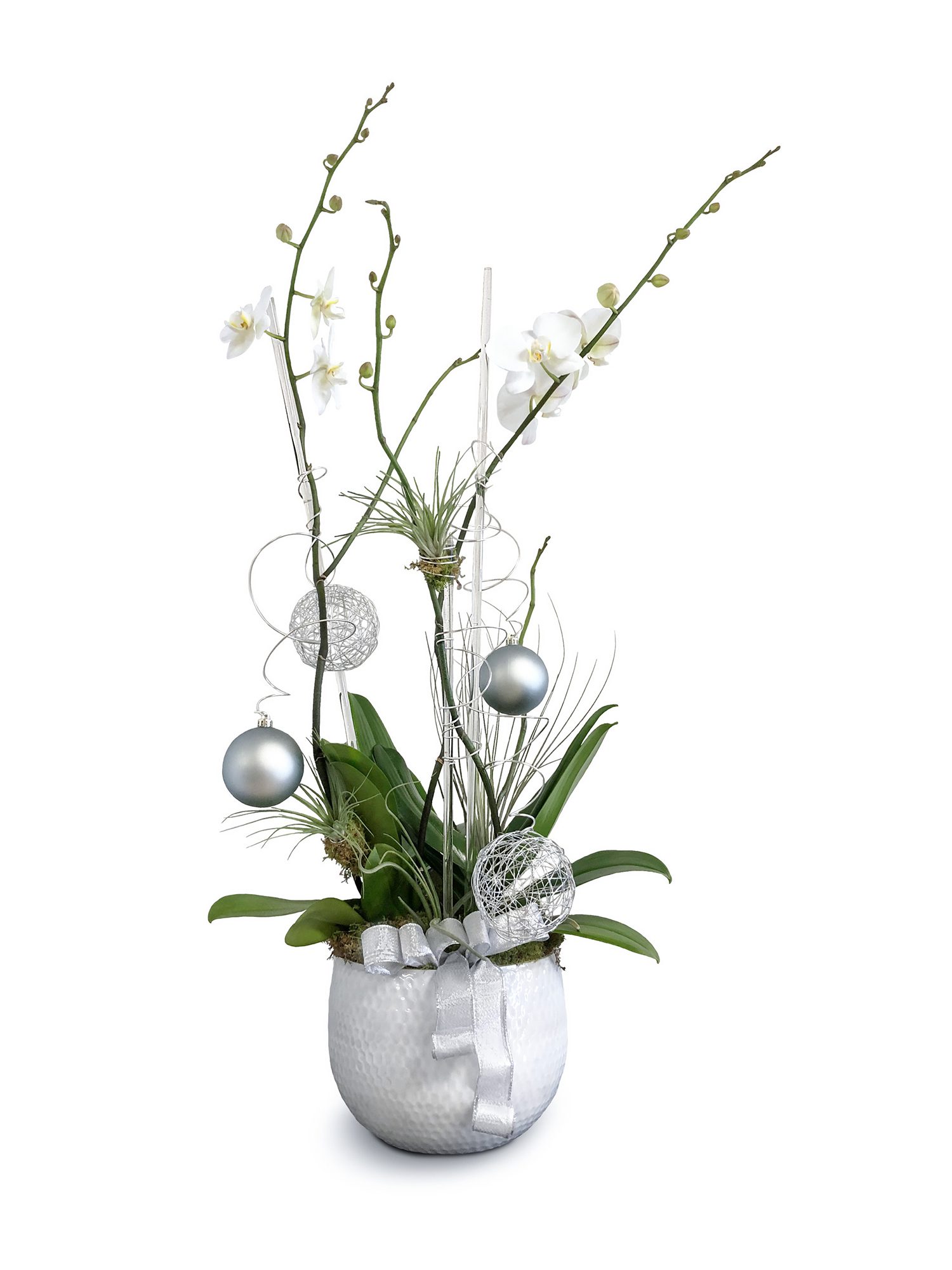 Flower compositions Order Orchids compositions | Same day delivery