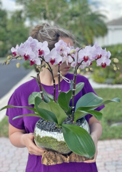 Orchid Flower Meadow - Image 2