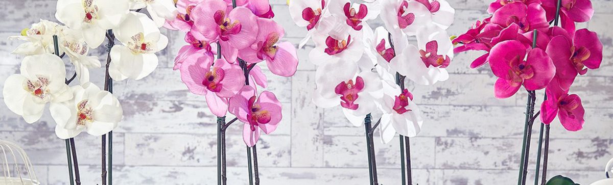 How to care for your orchid arrangement to maintain their natural beauty
