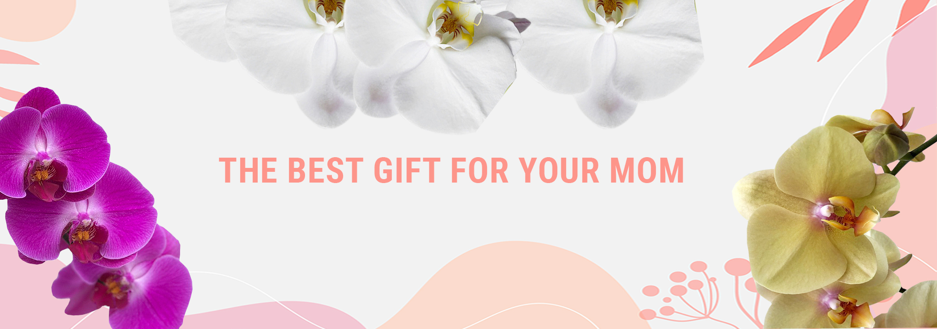 the best gift for you mom