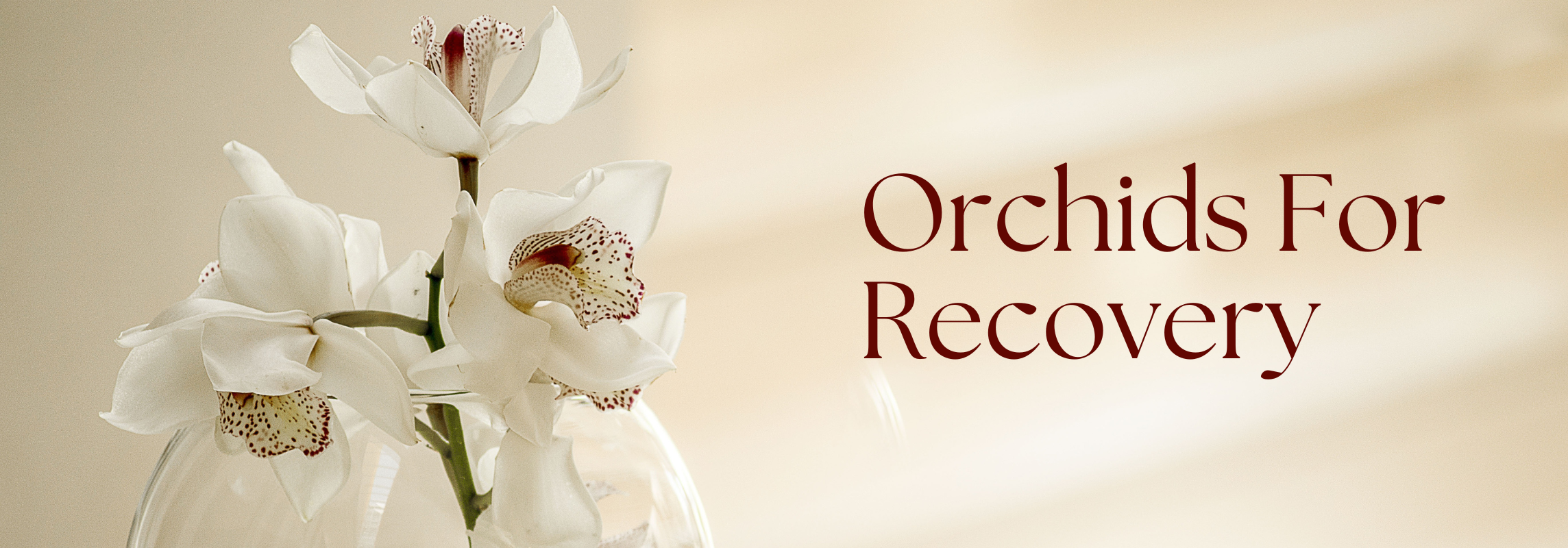 orchids for recovery
