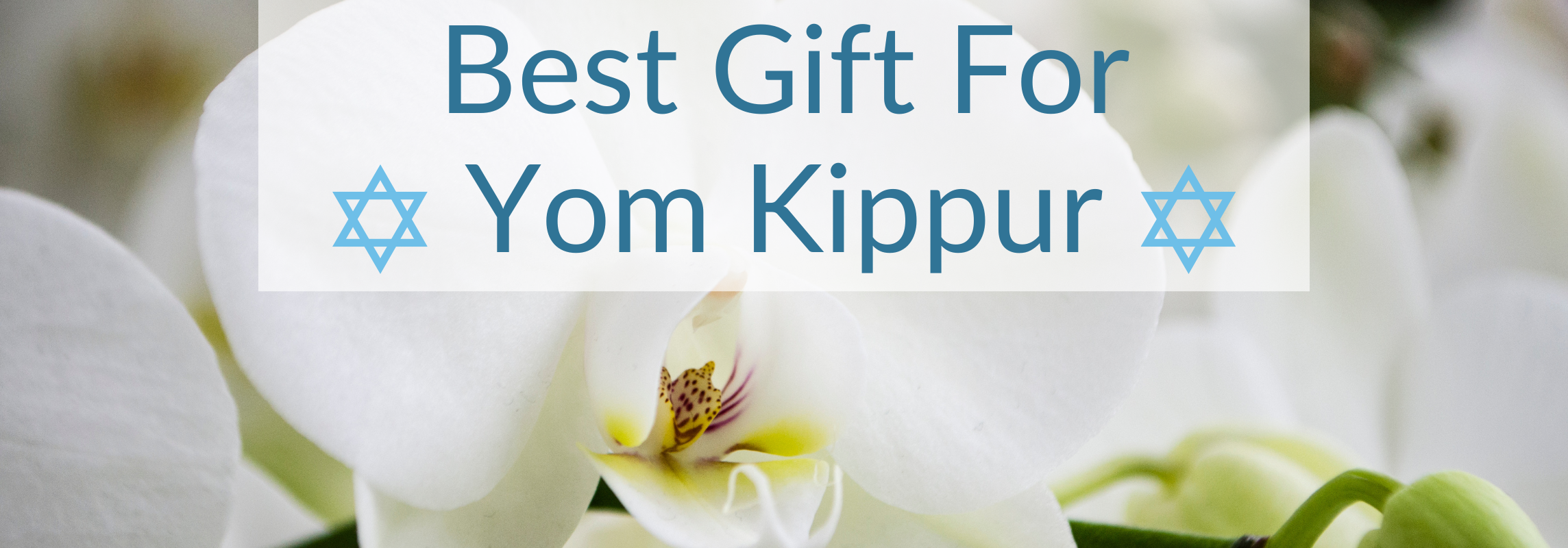 white orchids for Yom Kippur