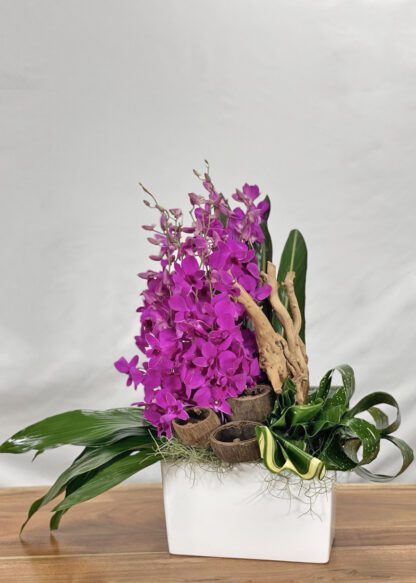 Botanical Beauty - Image 4