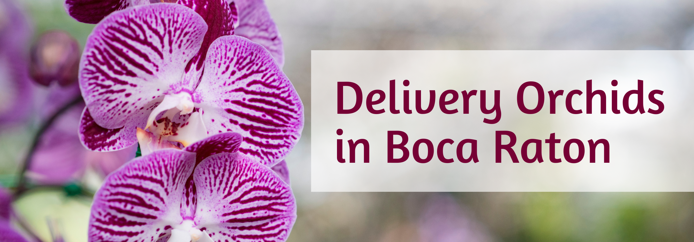 delivery orchids boca