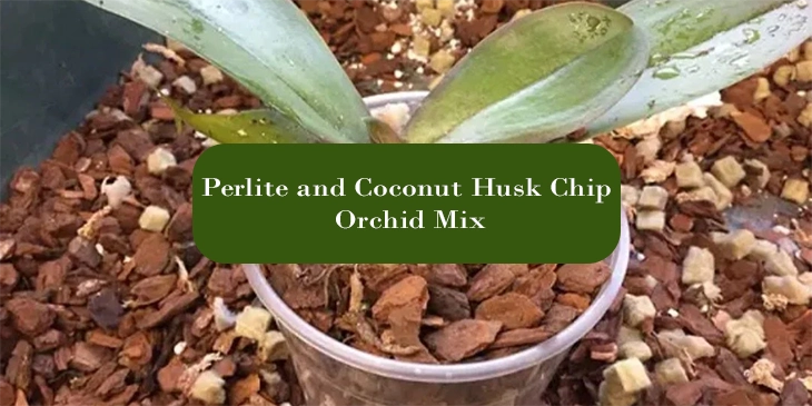 3. Perlite and Coconut Husk Chip Orchid Mix
