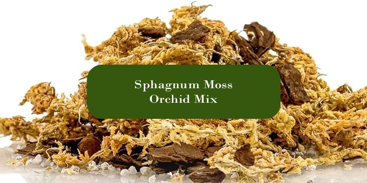 Sphagnum Moss Orchid Mix
