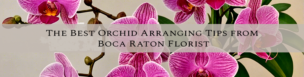 The Best Orchid Arranging Tips from Boca Raton Florist