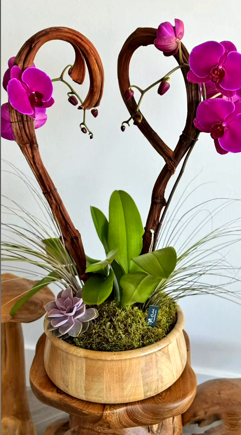 10 Golden Rules of Orchid Florist