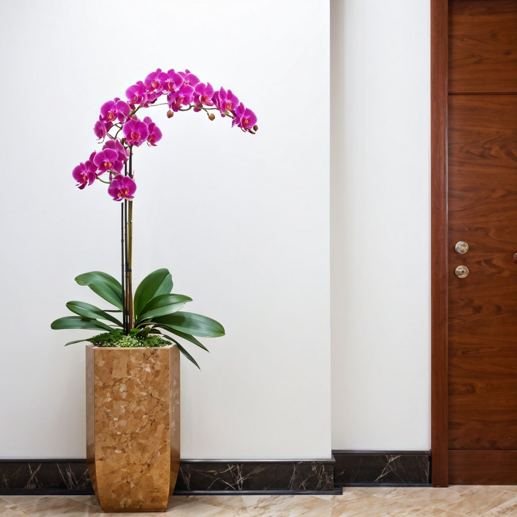 Types of Orchid Arrangements