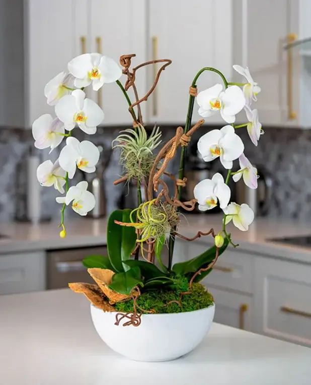 Orchids delivery - florist of Boca Raton