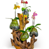 Orchids tree