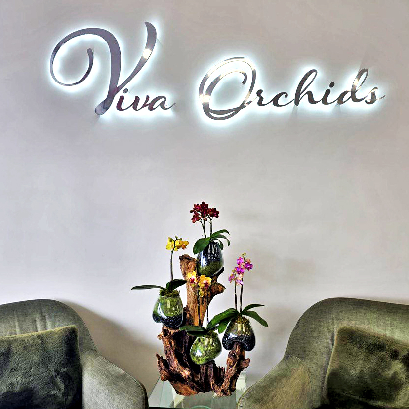  Benefits of Orchid Delivery Palm beach county
