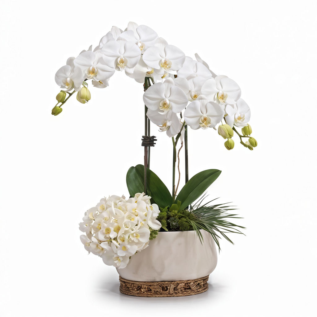 Celebrate Rosh Hashanah with Stunning Orchid Arrangements