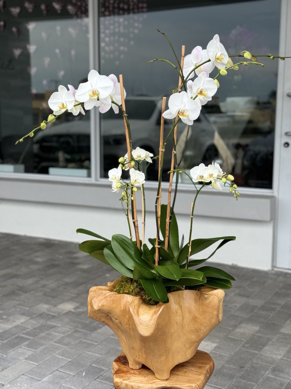 orchids arrangements as a business gift