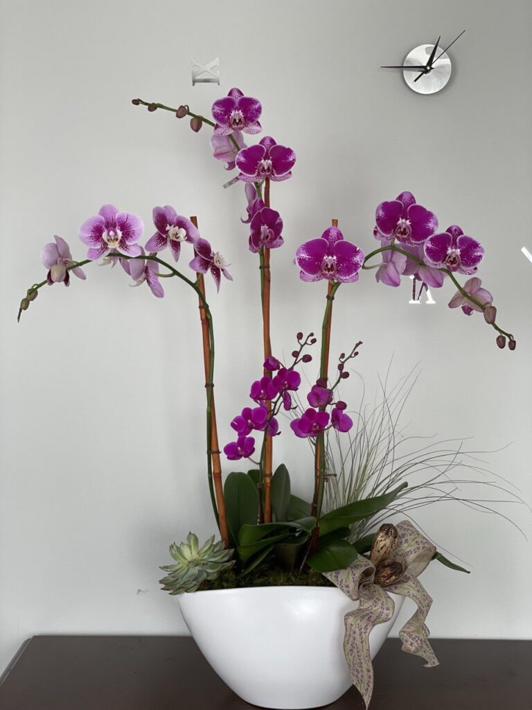 orchid birthday gift