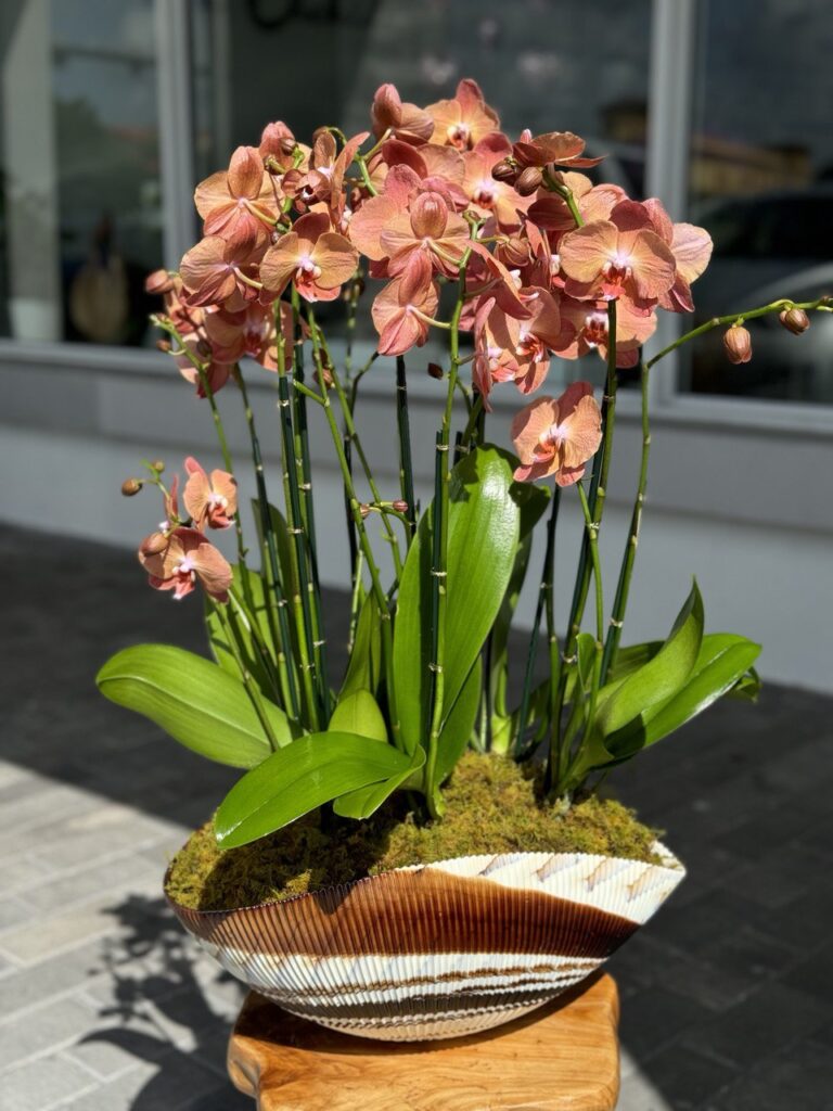 orchid Arrangements for Your Dining Room