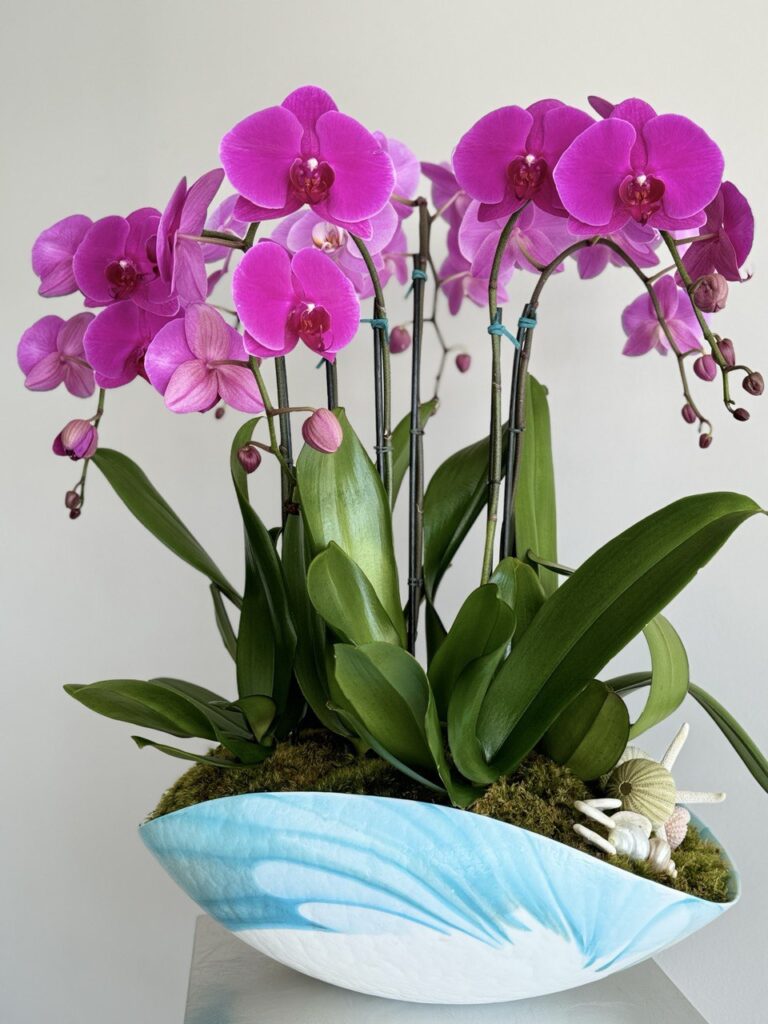 orchid Arrangements for Your Dining Room