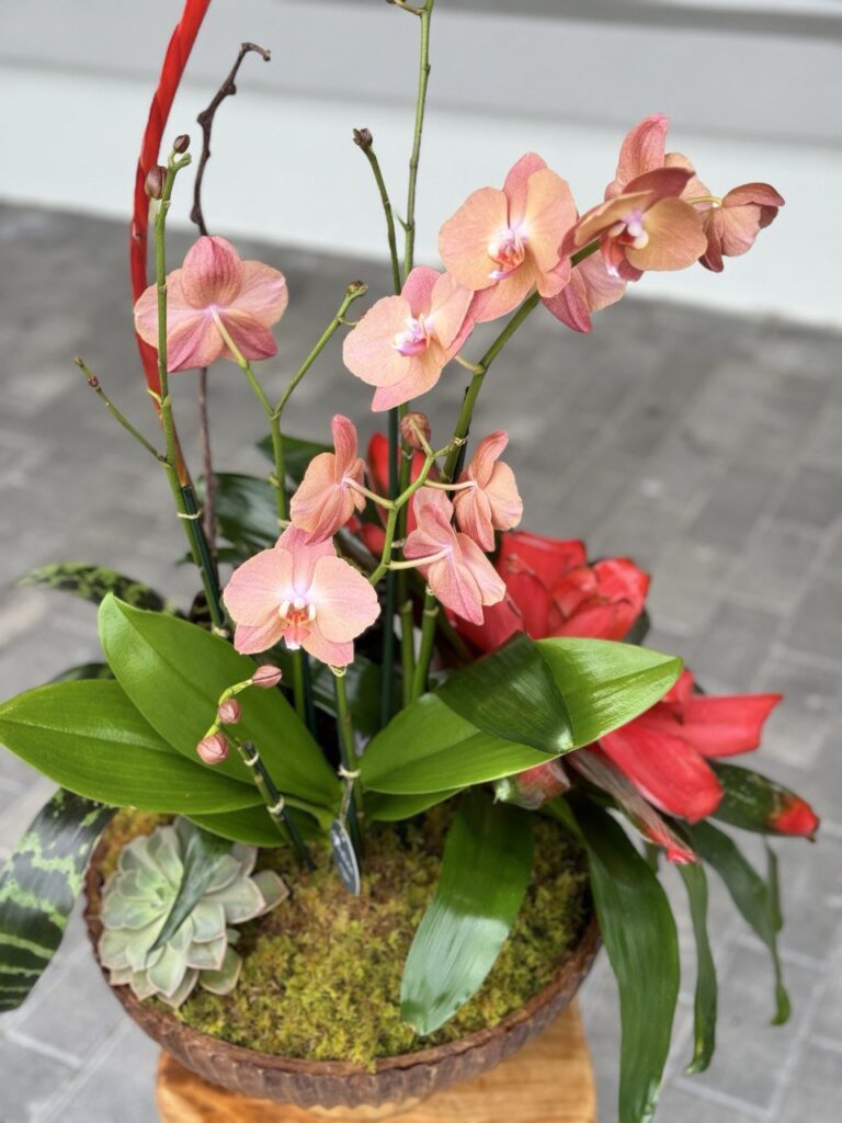 Thanksgiving Flower Arrangements from Viva Orchids