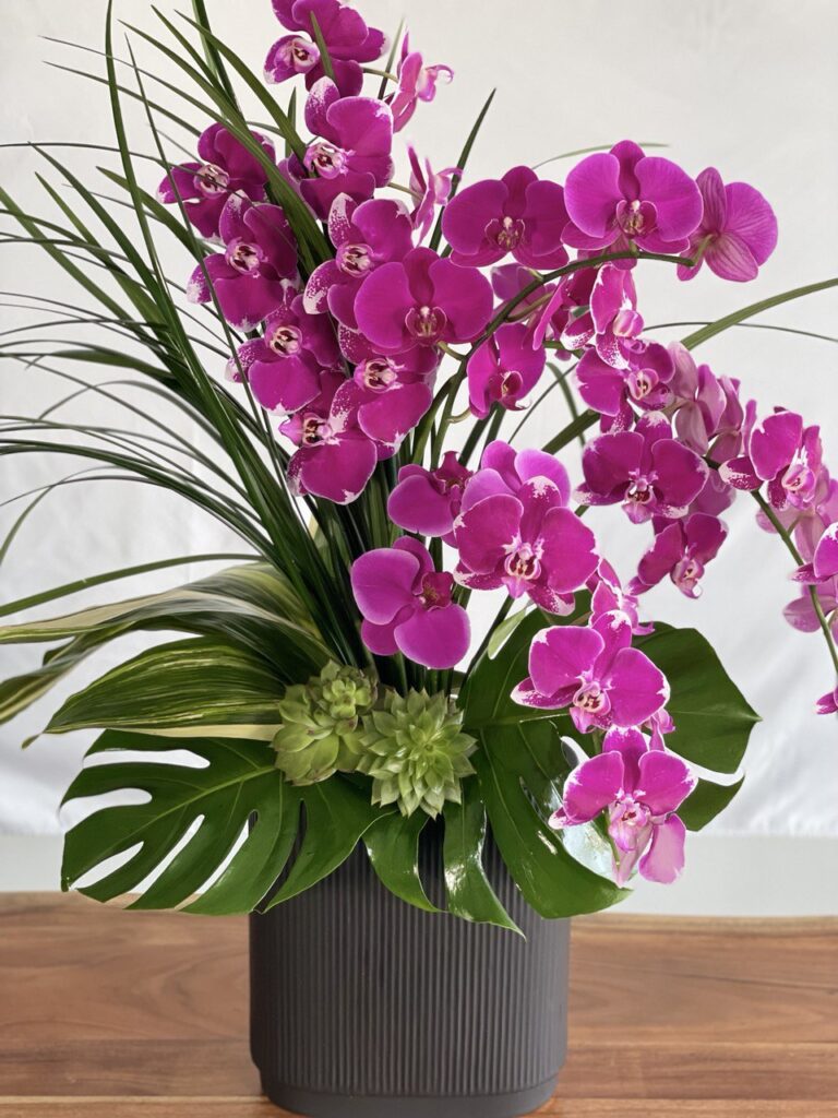 Embrace Fall with Our New Orchid Arrangements