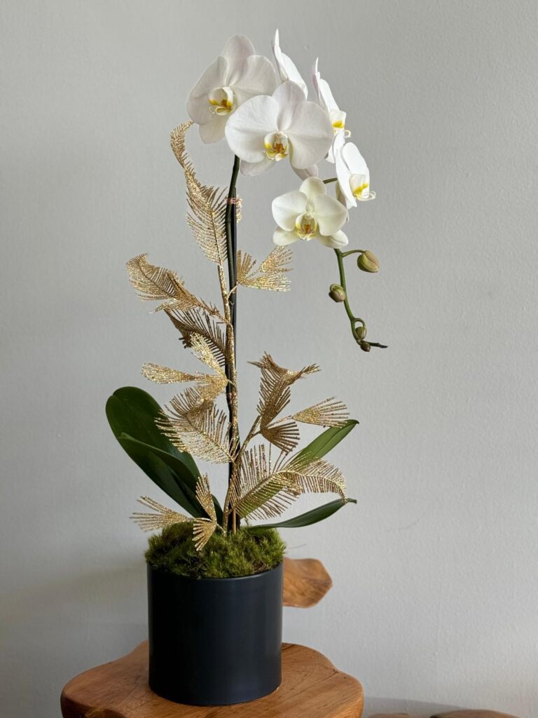 Elegant Christmas Orchid Arrangements in Boca Raton