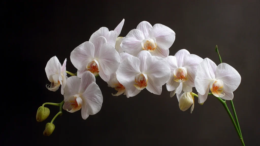 orchids for rosh hashanah