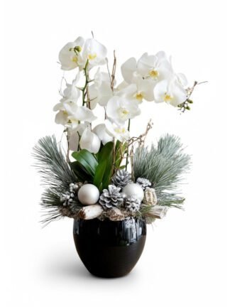 Winter's Grace White Orchid Holiday Arrangement