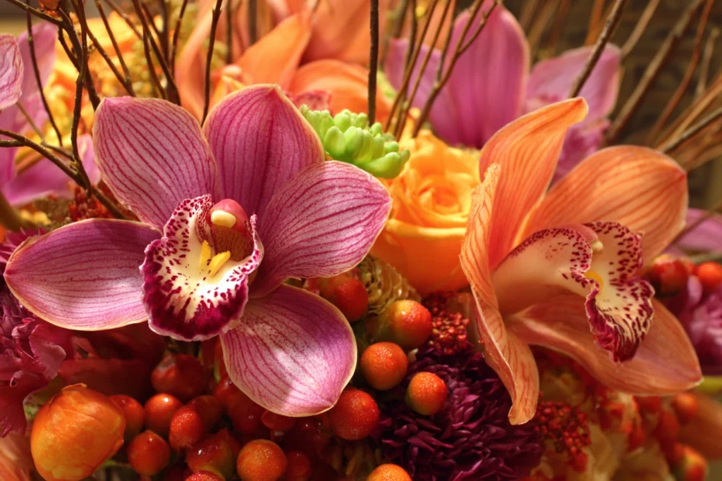 thanksgiving with Beautiful Orchids in Boca Raton