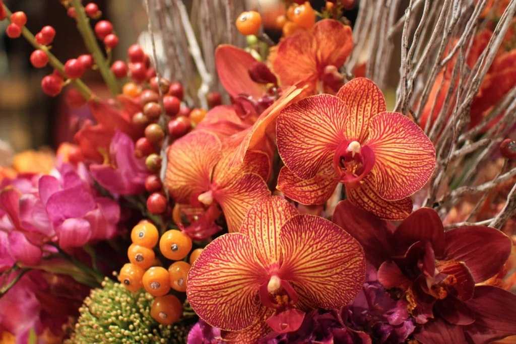 thanksgiving with Beautiful Orchids in Boca Raton