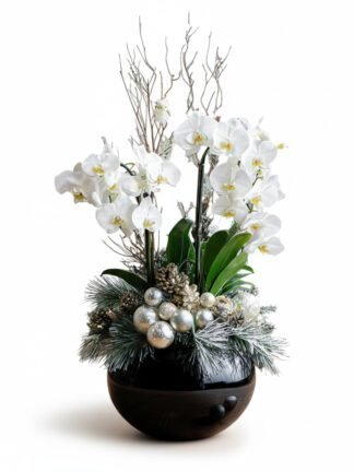 Frosted Elegance: White Orchid Winter Arrangement