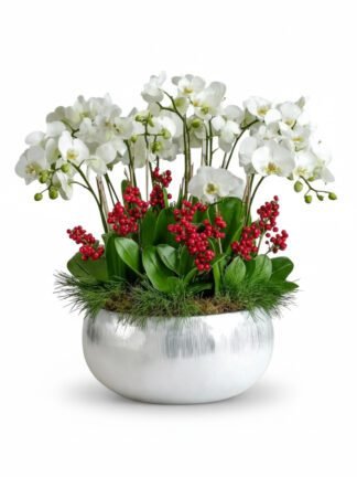 Holiday Radiance: White Orchid & Berry Planter