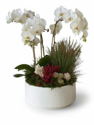 Winter's Embrace: White Orchid & Berry Arrangement