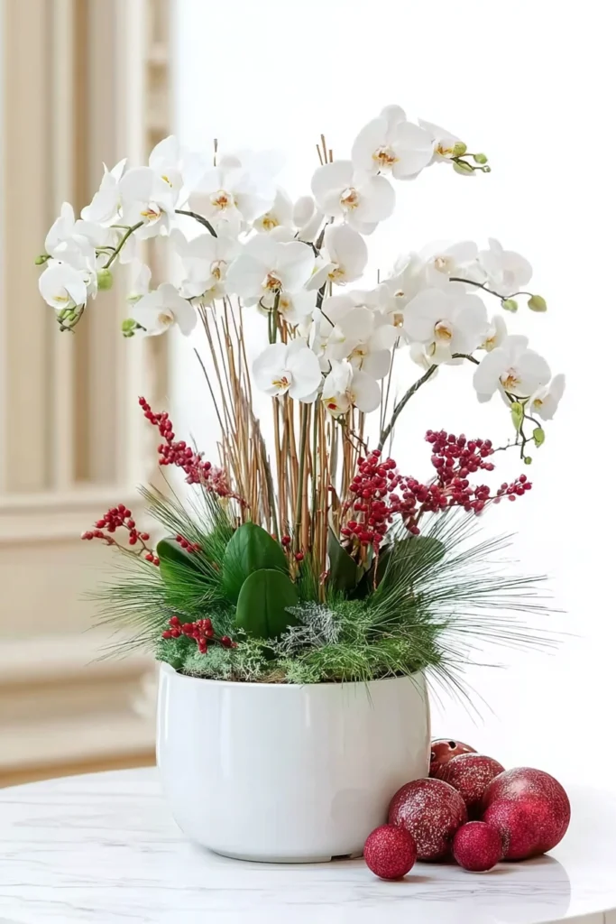 Festive Elegance