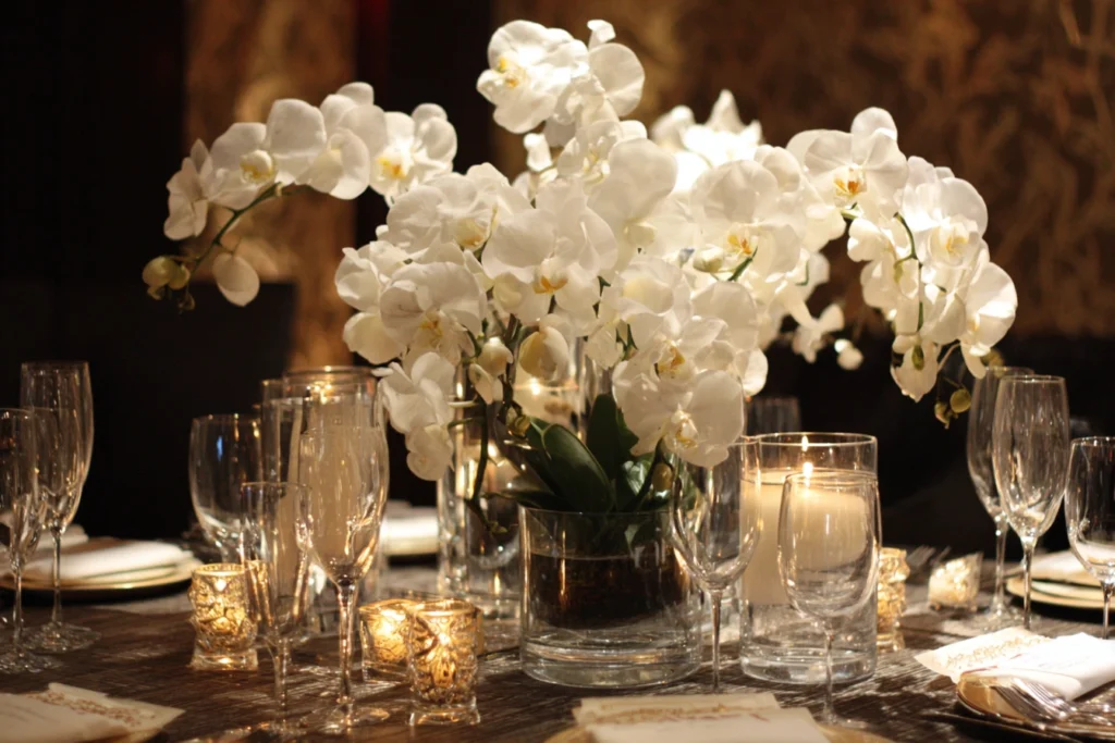 Why Choose Orchids for Your Hanukkah Centerpieces