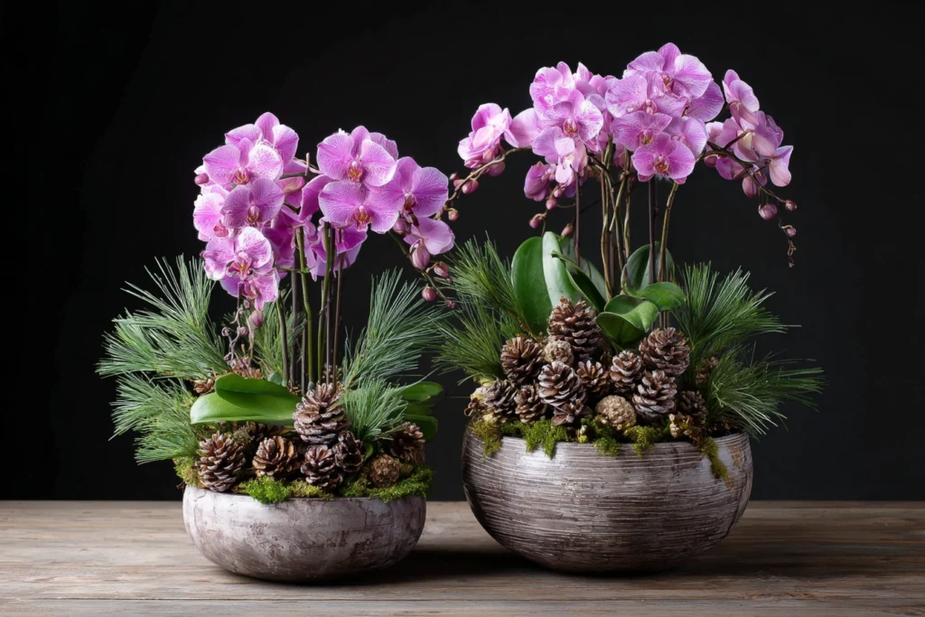 Orchid Arrangements: The Perfect New Year Gift