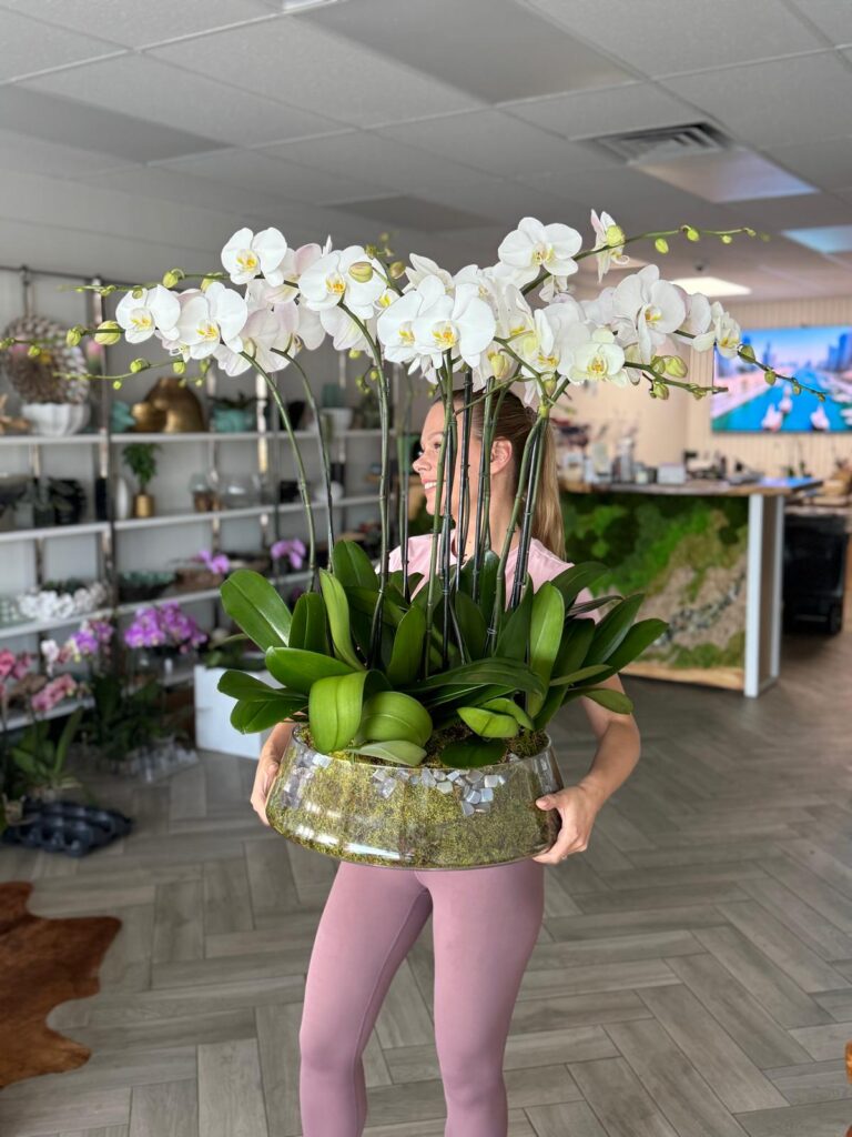 Charming Orchid Arrangements to Celebrate Easter 2026