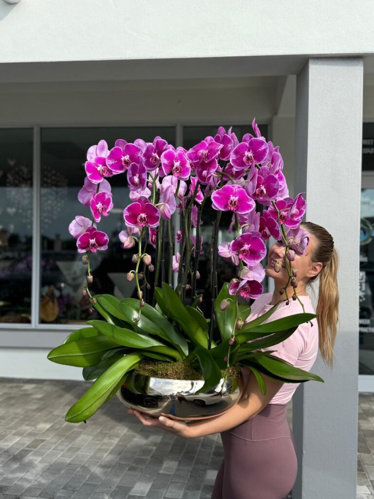 Charming Orchid Arrangements to Celebrate Easter 2026