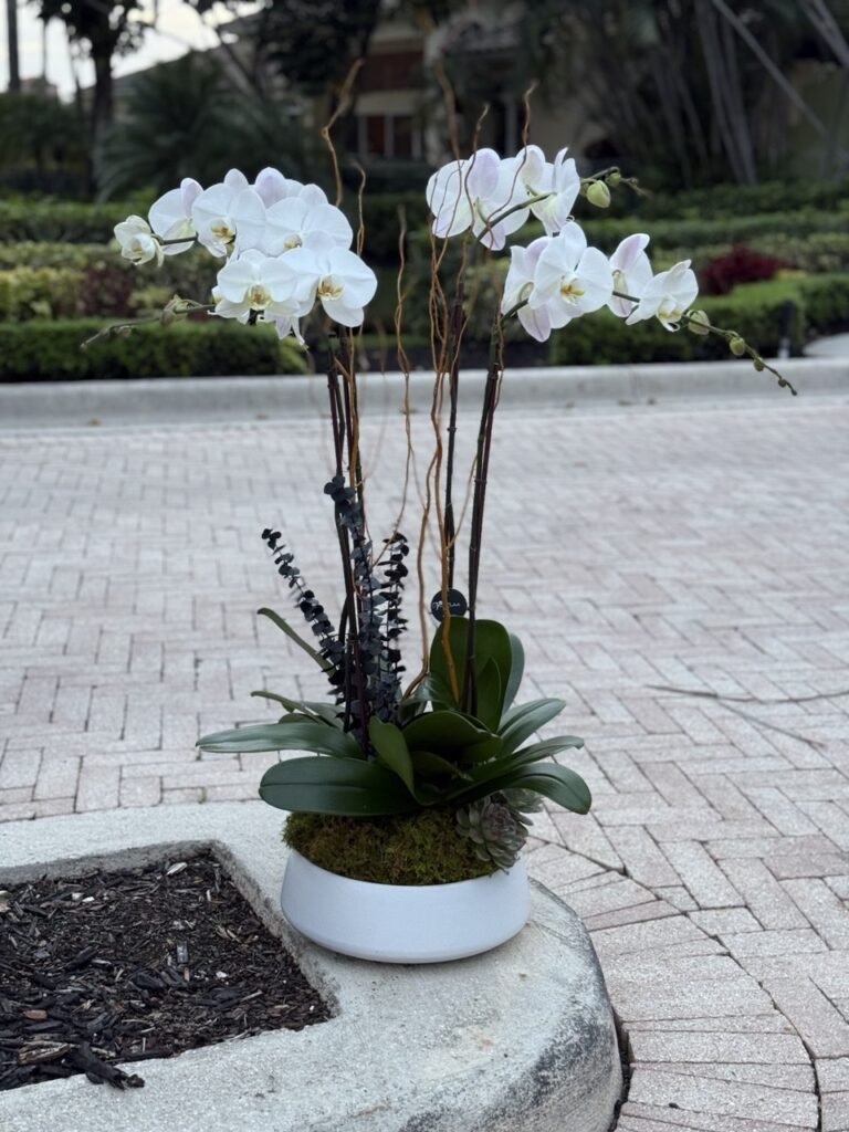 Celebrate Mother's Day 2026 in Florida with Viva Orchids Arrangements