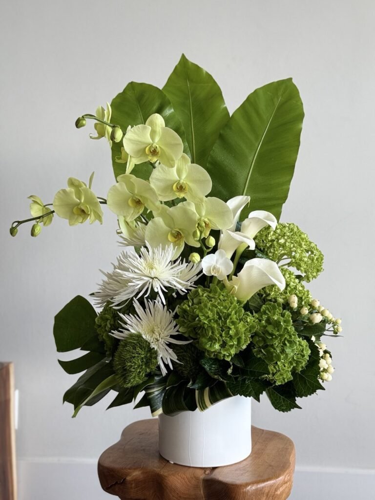 Celebrate Mother's Day 2026 in Florida with Viva Orchids Arrangements