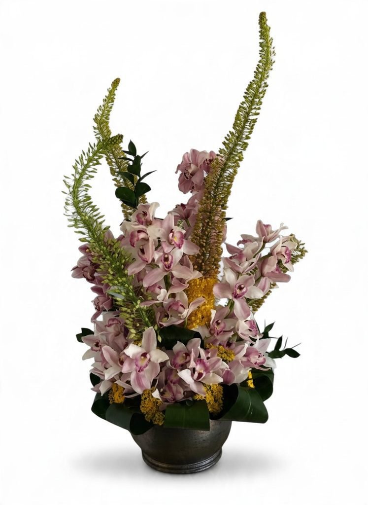 Essential Orchid Care for the South Florida Climate